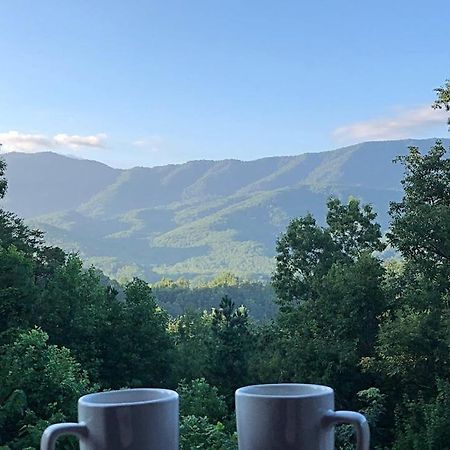 Tennessee Roots By Stony Brook Cabins Gatlinburg Buitenkant foto